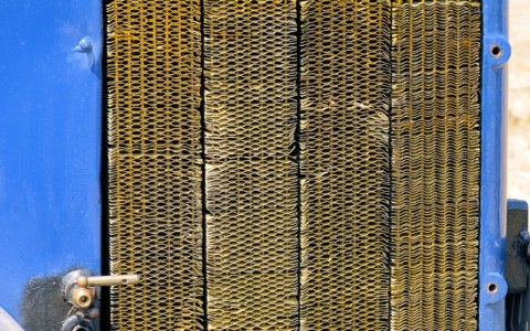 Image Not Found On Media Library