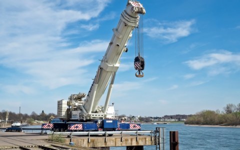 Image Not Found On Media Library